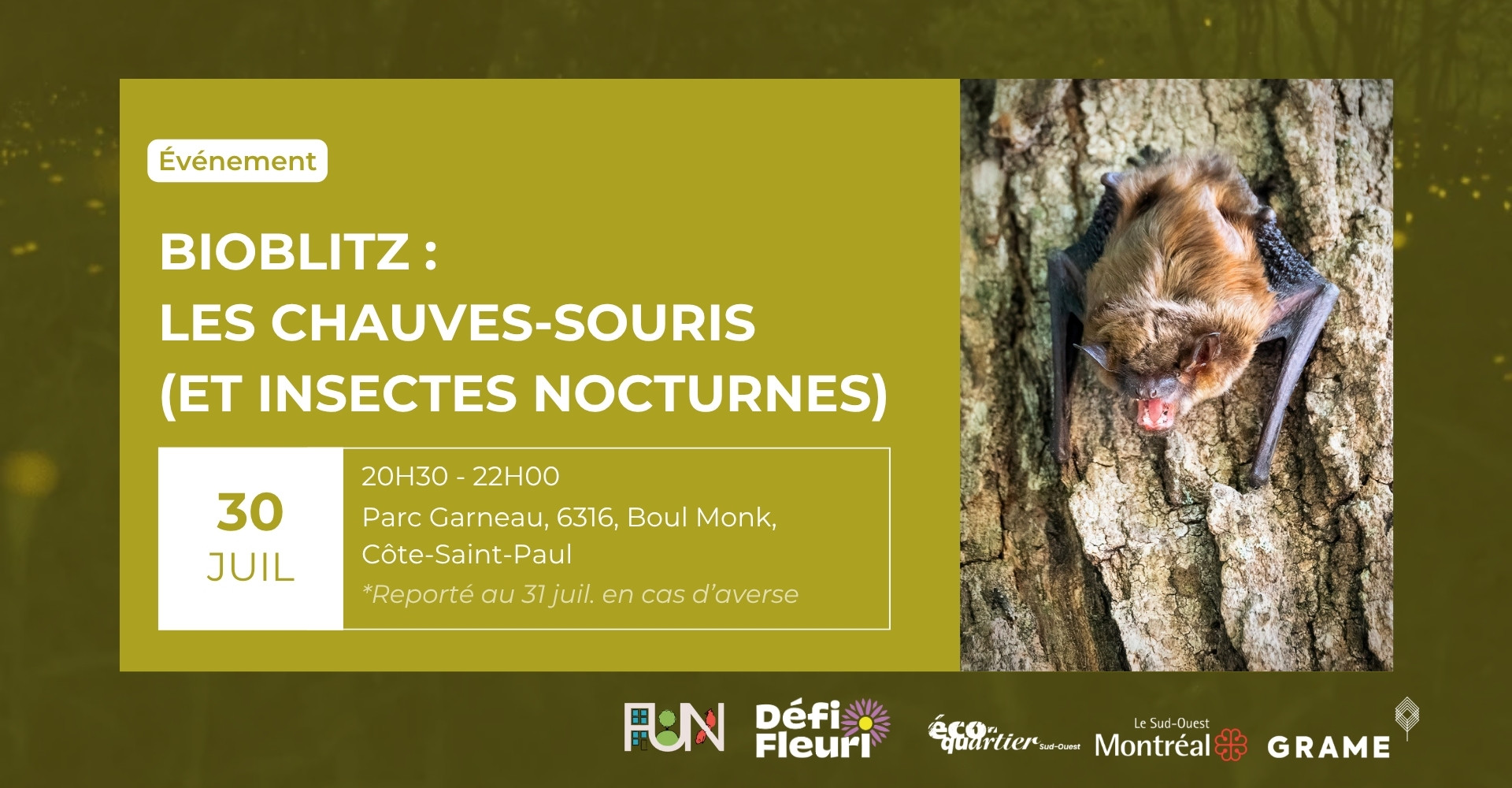 Bioblitz : Les chauves-souris